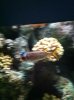 IMG_0594.JPG IMG_0594.JPG