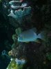 IMG_0597.JPG IMG_0597.JPG