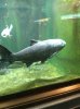 IMG_0640.JPG