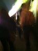 IMG_0652.JPG IMG_0652.JPG