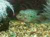 20140217_001648.jpg