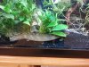 20140323_155204.jpg