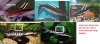 CATFISH COMPARE.JPG