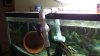 20140321_213226.jpeg