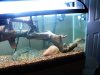DSCN3188.JPG