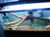 DSCN3189.JPG