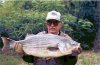 stripedbass_big.jpg