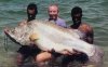 nile-perch02-l.jpg