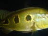 DSC09345.JPG