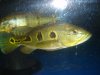 DSC09346.JPG