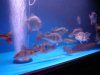 DSC09368.JPG