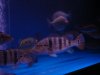 DSC09407.JPG