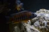 DSC_0702.JPG DSC_0702.JPG
