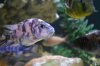 DSC_0703.JPG DSC_0703.JPG