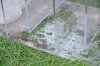 DSC_1941.JPG DSC_1941.JPG