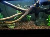 DSCN3195.JPG DSCN3195.JPG