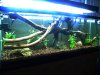 DSCN3197.JPG DSCN3197.JPG