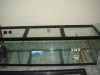 DSC01711.JPG