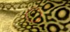 uploadfromtaptalk1397398698351.jpg uploadfromtaptalk1397398698351.jpg