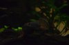 DSC_5964.JPG