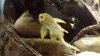 20140416_111631.jpg