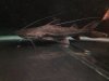 ImageUploadedByMonsterAquariaNetwork1398098321.263416.jpg