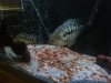 uploadfromtaptalk1398109240030.jpg