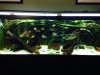 full tank.JPG