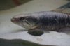DSC00630.JPG DSC00630.JPG