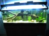 DSCN3211.JPG