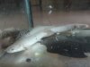 DSC01598.JPG