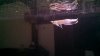 IMG_20140425_110720.jpg