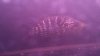 20140423_011457.jpg