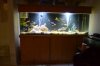 DSC_0716.JPG DSC_0716.JPG