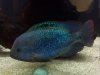 2014-04-22_22-32-38_928.jpg