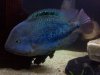2014-04-22_22-35-12_47.jpg