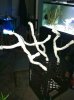 ImageUploadedByMonsterAquariaNetwork1398919921.567551.jpg