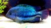 2014-04-22_20-33-06_723.jpg