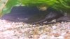 20140502_133144.jpg