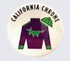 CA Chrome silks.jpg CA Chrome silks.jpg