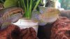 20140504_183927.jpg