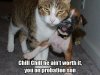 a.baa-Dog-chill-a-cat.jpg