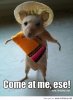 mouse.jpg