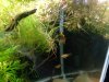 fish 022.jpg