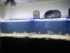 DSCN0824.JPG