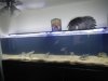 DSCN0825.JPG