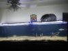 DSCN0830.JPG