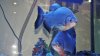 ImageUploadedByMonsterAquariaNetwork1399840675.685448.jpg