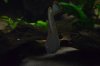 DSC_4478.JPG DSC_4478.JPG