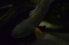 DSC_6707.JPG DSC_6707.JPG
